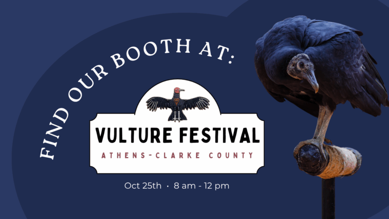 Vulture Festival: Oct. 25, 8 am – noon