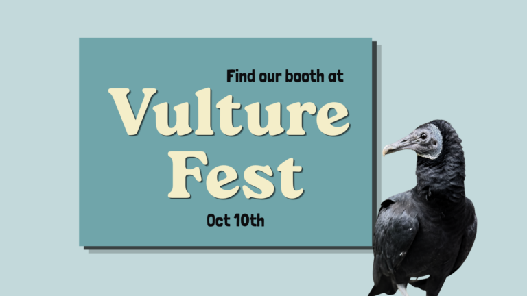 Vulture Festival: Oct.&nbsp;10, 8&nbsp;am – noon